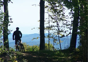 mountain biker image